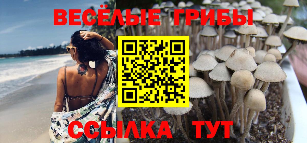 Галлюциногенные грибы Psilocybe  Вход с VPN  Верхняя Салда  Псилоцибиновые грибы Magic Shrooms 